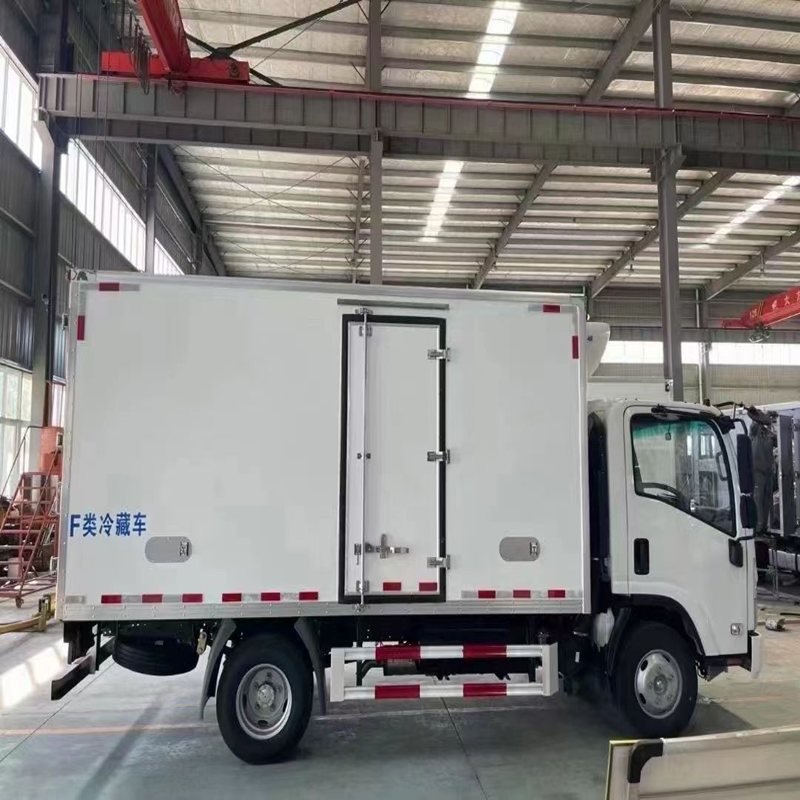 Cargo & Special Truck photo 4