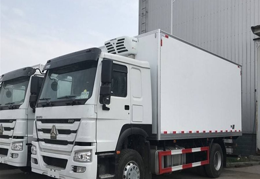 Cargo & Special Truck